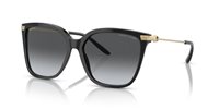 Gafas Ralph Lauren  RL8209 5001T3