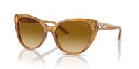 Gafas de sol Ralph Lauren  RL8215BU 60832L
