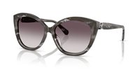 Gafas de sol Ralph Lauren  RL8225U 617511