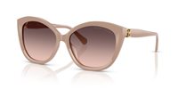 Gafas de sol Ralph Lauren  RL8225U 6218U8