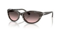 Gafas de sol Ralph Lauren  RL8226U 617546
