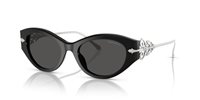 Gafas de sol Ralph Lauren  RL8227U 500187
