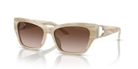 Gafas Ralph Lauren the audrey RL8206U 608413