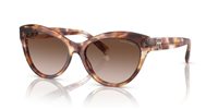Gafas de sol Ralph Lauren The betty RL8213 605413