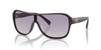 Gafas Ralph Lauren the dillion RL8214U 605279