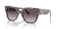 Gafas Ralph Lauren the overszed ricky RL8221 617511