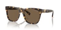 Gafas Ralph Lauren the ricky ii RL8212 500473