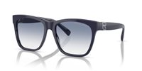 Gafas de sol Ralph Lauren The ricky ii RL8212 566319