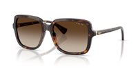 Gafas Ralph  RA5333U 500313