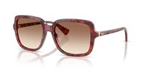 Gafas Ralph  RA5333U 623913