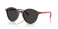 Gafas Ray-Ban bernard RB2230 141948