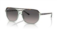 Gafas Ray-Ban bill one RB2205 1376M3