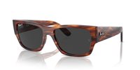 Gafas Ray-Ban carlos RB0947S 954/48