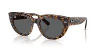 Gafas Ray-Ban doreen RB2286 1292B1