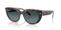Gafas Ray-Ban doreen RB2286 1413S3