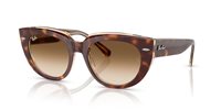 Gafas Ray-Ban doreen RB2286 141451