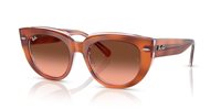 Gafas Ray-Ban doreen RB2286 1415A5