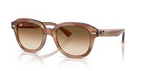 Gafas de sol Ray Ban Erik RB4398 140351