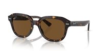 Gafas Ray-Ban erik RB4398 902/57