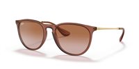 Gafas de sol Ray Ban Erika RB4171 659013