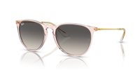 Gafas de sol Ray Ban Erika RB4171 674211