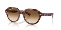 Gafas de sol Ray Ban Gina RB4399 141451