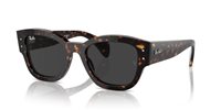 Gafas de sol Ray Ban Jorge RB7681S 902/48
