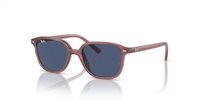Gafas Ray-Ban Junior junior leonard RJ9093S 715680