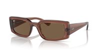 Gafas Ray-Ban kiliane RB4395 667873