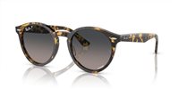 Gafas de sol Ray Ban Larry RB7680S 1332GL