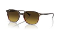 Gafas de sol Ray Ban Leonard RB2193 138085