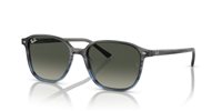 Gafas de sol Ray Ban Leonard RB2193 138171