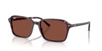 Gafas Ray-Ban raimond RB2231 1416C5