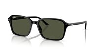 Gafas Ray-Ban raimond RB2231 901/31