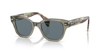 Gafas Ray-Ban  RB0880S 66353R