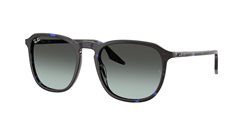 Gafas Ray-Ban  RB2203 1430GK