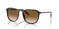 Gafas Ray-Ban  RB2203 902/51