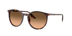 Gafas Ray-Ban  RB2204 14293B