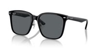 Gafas de sol Ray Ban  RB2206D 901/87
