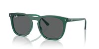Gafas Ray-Ban  RB2210 6615B1