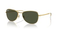 Gafas de sol Ray Ban  RB3733 001/31
