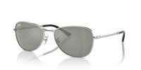 Gafas Ray-Ban  RB3733 003/40