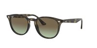 Gafas Ray-Ban  RB4259 731/E8