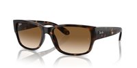 Gafas Ray-Ban  RB4388 710/51