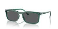 Gafas de sol Ray Ban  RB4435 6615B1