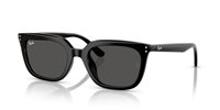 Gafas de sol Ray Ban  RB4439D 901/87
