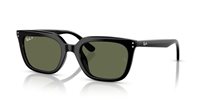 Gafas de sol Ray Ban  RB4439D 901/9A