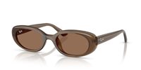 Gafas Ray-Ban  RB4441D 677973