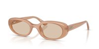 Gafas de sol Ray Ban  RB4441D 678793
