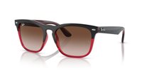 Gafas Ray-Ban steve RB4487 663113